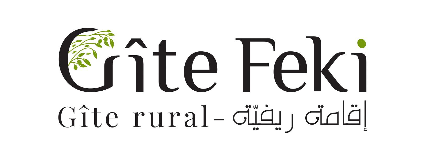 Gite Feki